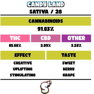 SNOOZE CANDY LAND DISPOSABLE 