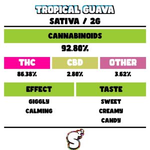 SNOOZE TROPICAL GUAVA DISPOSABLE 