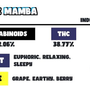SNOOZE BLACK MAMBA PILLOWS 
