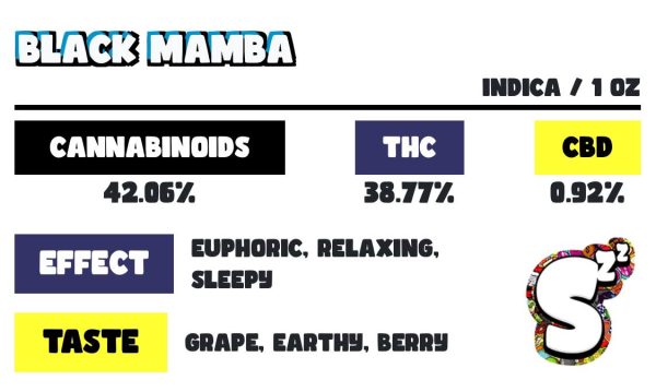 SNOOZE BLACK MAMBA PILLOWS 