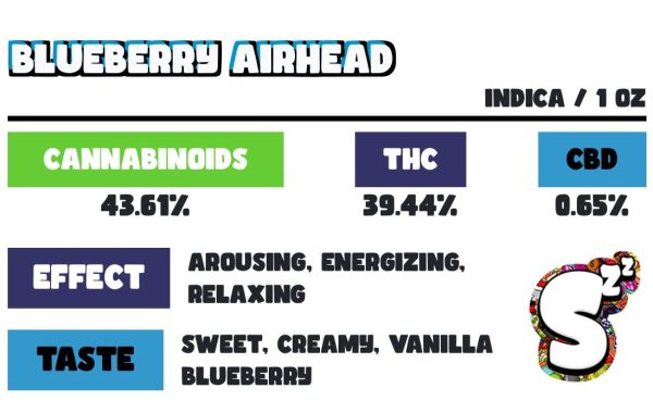 SNOOZE BLUEBERRY AIRHEAD PILLOWS 