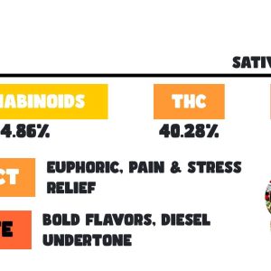 SNOOZE GMO PILLOWS PREMIUM CANNABIS FLOWER