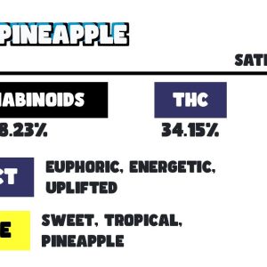 SNOOZE PINK PINAPPLE PILLOWS PREMIUM CANNABIS FLOWER