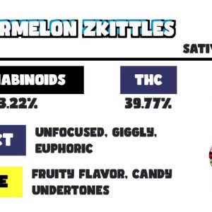 SNOOZE PILLOWS  WATERMELON ZKITTLES PREMIUM CANNABIS FLOWER 